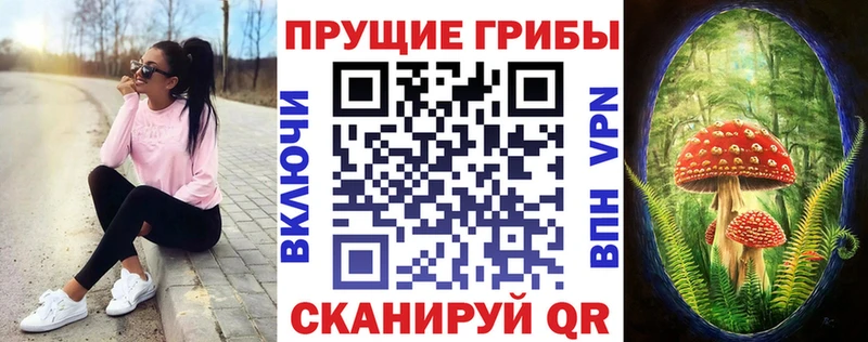 что такое   блэк спрут вход  Галлюциногенные грибы ЛСД  Саранск 